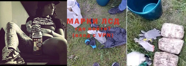 прущие крисы Балахна