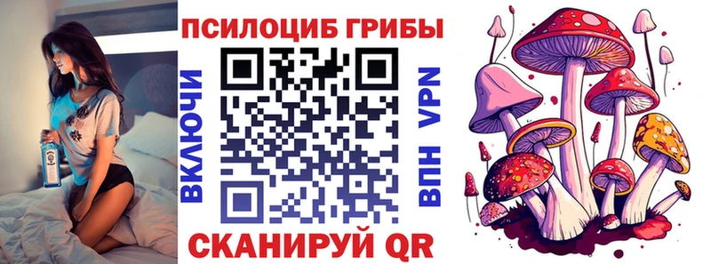Купить закладки  Щёкино  Псилоцибиновые грибы MAGIC MUSHROOMS 
